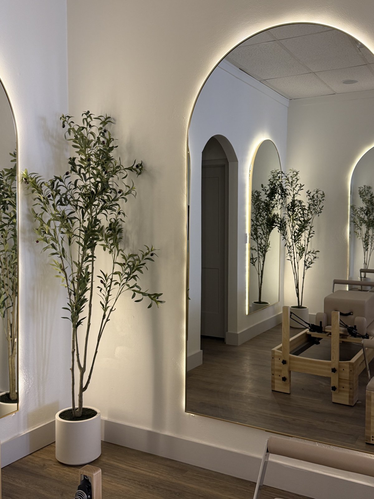 MindFlow Pilates Studio interior with arched backlit mirrors, olive trees, and a reformer